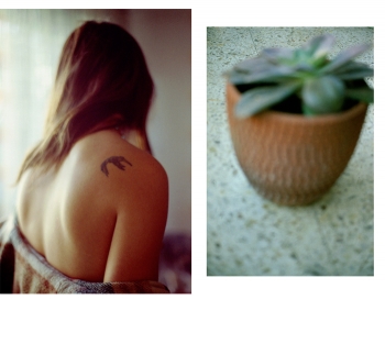 http://rosanaojeda.com/files/gimgs/th-9_91c.jpg